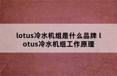 lotus冷水机组是什么品牌 lotus冷水机组工作原理